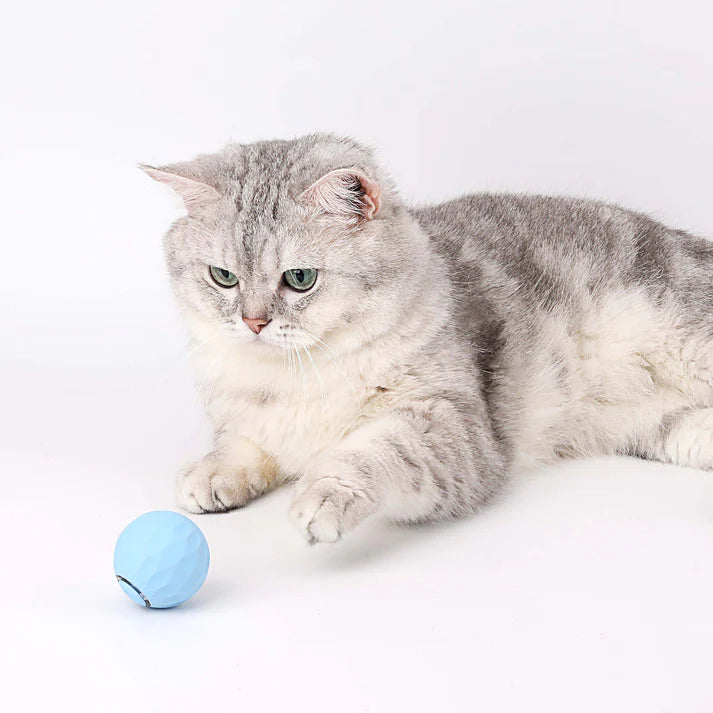 Loom Ball 2.0 - Smart Cat Toy