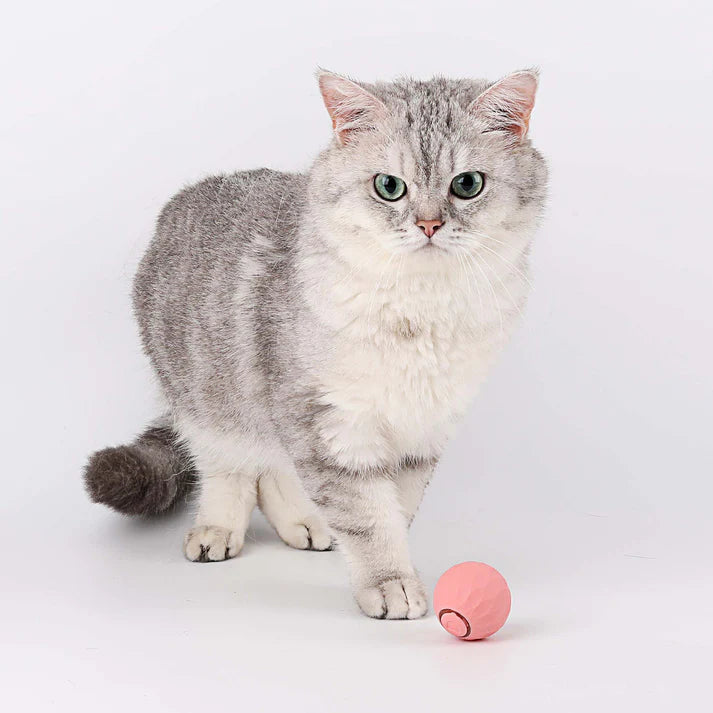 Loom Ball 2.0 - Smart Cat Toy