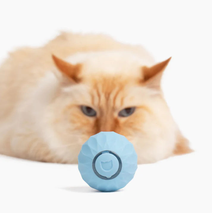 Loom Ball 2.0 - Smart Cat Toy